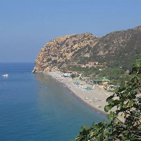 Capo Alaua 3*